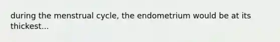 during the menstrual cycle, the endometrium would be at its thickest...