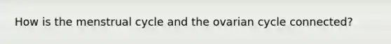 How is the menstrual cycle and the ovarian cycle connected?