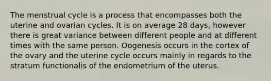 The menstrual cycle is a process that encompasses both the uterine and ovarian cycles. It is on average 28 days, however there is great variance between different people and at different times with the same person. Oogenesis occurs in the cortex of the ovary and the uterine cycle occurs mainly in regards to the stratum functionalis of the endometrium of the uterus.