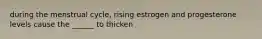 during the menstrual cycle, rising estrogen and progesterone levels cause the ______ to thicken