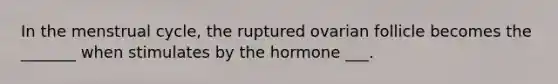 In the menstrual cycle, the ruptured ovarian follicle becomes the _______ when stimulates by the hormone ___.