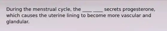 During the menstrual cycle, the ____ ____ secrets progesterone, which causes the uterine lining to become more vascular and glandular.