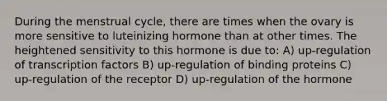 During the menstrual cycle, there are times when the ovary is more sensitive to luteinizing hormone than at other times. The heightened sensitivity to this hormone is due to: A) up-regulation of transcription factors B) up-regulation of binding proteins C) up-regulation of the receptor D) up-regulation of the hormone