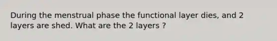 During the menstrual phase the functional layer dies, and 2 layers are shed. What are the 2 layers ?