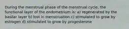 During the menstrual phase of the menstrual cycle, the functional layer of the endometrium is: a) regenerated by the basilar layer b) lost in menstruation c) stimulated to grow by estrogen d) stimulated to grow by progesterone