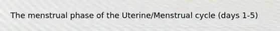 The menstrual phase of the Uterine/Menstrual cycle (days 1-5)