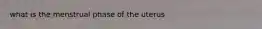 what is the menstrual phase of the uterus