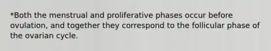 *Both the menstrual and proliferative phases occur before ovulation, and together they correspond to the follicular phase of the ovarian cycle.