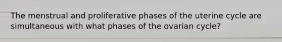 The menstrual and proliferative phases of the uterine cycle are simultaneous with what phases of the ovarian cycle?