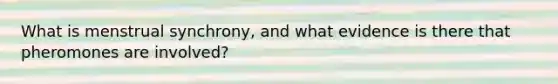 What is menstrual synchrony, and what evidence is there that pheromones are involved?