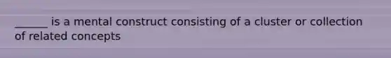 ______ is a mental construct consisting of a cluster or collection of related concepts