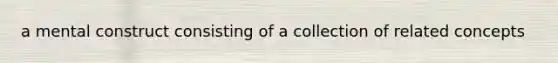 a mental construct consisting of a collection of related concepts