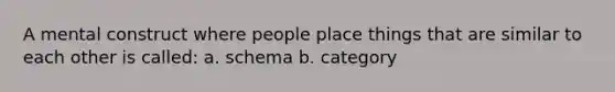 A mental construct where people place things that are similar to each other is called: a. schema b. category