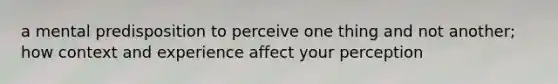 a mental predisposition to perceive one thing and not another; how context and experience affect your perception