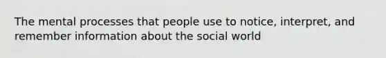 The mental processes that people use to notice, interpret, and remember information about the social world