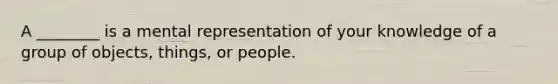 A ________ is a mental representation of your knowledge of a group of objects, things, or people.