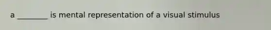 a ________ is mental representation of a visual stimulus