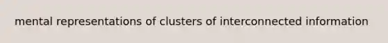 mental representations of clusters of interconnected information