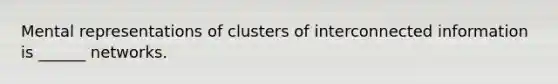 Mental representations of clusters of interconnected information is ______ networks.