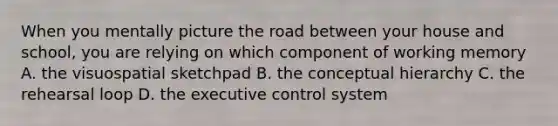 When you mentally picture the road between your house and school, you are relying on which component of working memory A. the visuospatial sketchpad B. the conceptual hierarchy C. the rehearsal loop D. the executive control system