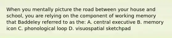 When you mentally picture the road between your house and school, you are relying on the component of working memory that Baddeley referred to as the: A. central executive B. memory icon C. phonological loop D. visuospatial sketchpad