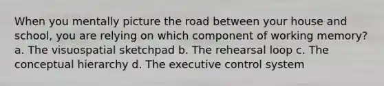 When you mentally picture the road between your house and school, you are relying on which component of working memory? a. The visuospatial sketchpad b. The rehearsal loop c. The conceptual hierarchy d. The executive control system