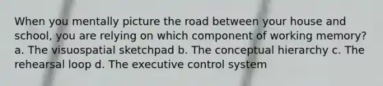 When you mentally picture the road between your house and school, you are relying on which component of working memory? a. The visuospatial sketchpad b. The conceptual hierarchy c. The rehearsal loop d. The executive control system