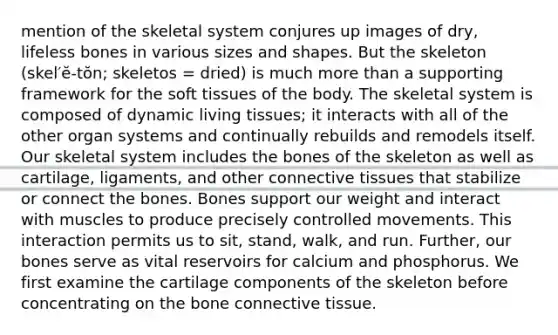 mention of the skeletal system conjures up images of dry, lifeless bones in various sizes and shapes. But the skeleton (skel′ĕ-tŏn; skeletos = dried) is much more than a supporting framework for the soft tissues of the body. The skeletal system is composed of dynamic living tissues; it interacts with all of the other organ systems and continually rebuilds and remodels itself. Our skeletal system includes the bones of the skeleton as well as cartilage, ligaments, and other connective tissues that stabilize or connect the bones. Bones support our weight and interact with muscles to produce precisely controlled movements. This interaction permits us to sit, stand, walk, and run. Further, our bones serve as vital reservoirs for calcium and phosphorus. We first examine the cartilage components of the skeleton before concentrating on the bone connective tissue.