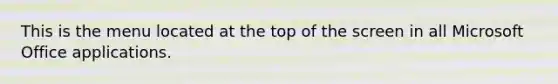 This is the menu located at the top of the screen in all Microsoft Office applications.