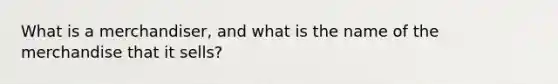 What is a merchandiser, and what is the name of the merchandise that it sells?