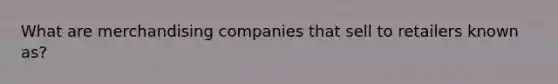 What are merchandising companies that sell to retailers known as?