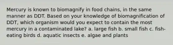 Mercury is known to biomagnify in food chains, in the same manner as DDT. Based on your knowledge of biomagnification of DDT, which organism would you expect to contain the most mercury in a contaminated lake? a. large fish b. small fish c. fish-eating birds d. aquatic insects e. algae and plants