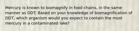 Mercury is known to biomagnify in food chains, in the same manner as DDT. Based on your knowledge of biomagnification of DDT, which organism would you expect to contain the most mercury in a contaminated lake?