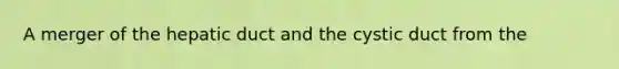 A merger of the hepatic duct and the cystic duct from the