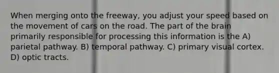 When merging onto the freeway, you adjust your speed based on the movement of cars on the road. The part of the brain primarily responsible for processing this information is the A) parietal pathway. B) temporal pathway. C) primary visual cortex. D) optic tracts.