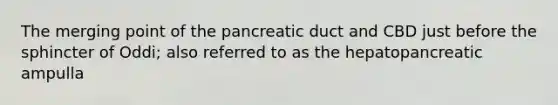 The merging point of the pancreatic duct and CBD just before the sphincter of Oddi; also referred to as the hepatopancreatic ampulla