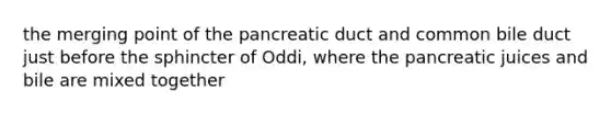 the merging point of the pancreatic duct and common bile duct just before the sphincter of Oddi, where the pancreatic juices and bile are mixed together