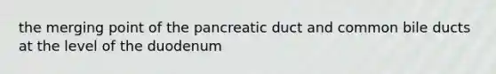 the merging point of the pancreatic duct and common bile ducts at the level of the duodenum