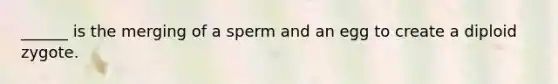 ______ is the merging of a sperm and an egg to create a diploid zygote.