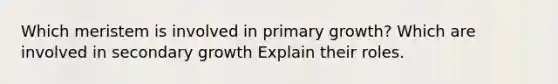 Which meristem is involved in primary growth? Which are involved in secondary growth Explain their roles.