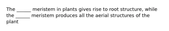 The ______ meristem in plants gives rise to root structure, while the ______ meristem produces all the aerial structures of the plant
