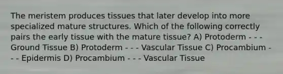 The meristem produces tissues that later develop into more specialized mature structures. Which of the following correctly pairs the early tissue with the mature tissue? A) Protoderm - - - Ground Tissue B) Protoderm - - - Vascular Tissue C) Procambium - - - Epidermis D) Procambium - - - Vascular Tissue