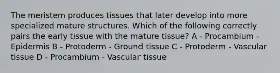 The meristem produces tissues that later develop into more specialized mature structures. Which of the following correctly pairs the early tissue with the mature tissue? A - Procambium - Epidermis B - Protoderm - <a href='https://www.questionai.com/knowledge/kb0kKBaH0H-ground-tissue' class='anchor-knowledge'>ground tissue</a> C - Protoderm - <a href='https://www.questionai.com/knowledge/k1HVFq17mo-vascular-tissue' class='anchor-knowledge'>vascular tissue</a> D - Procambium - Vascular tissue