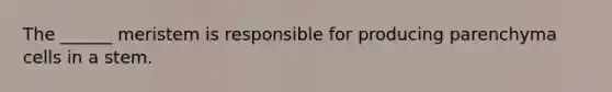 The ______ meristem is responsible for producing parenchyma cells in a stem.