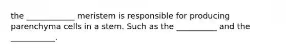 the ____________ meristem is responsible for producing parenchyma cells in a stem. Such as the __________ and the ___________.