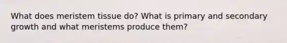 What does meristem tissue do? What is primary and secondary growth and what meristems produce them?