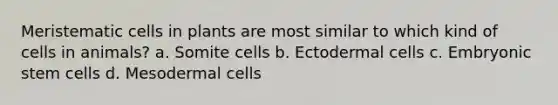 Meristematic cells in plants are most similar to which kind of cells in animals? a. Somite cells b. Ectodermal cells c. Embryonic stem cells d. Mesodermal cells