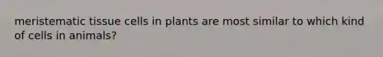 meristematic tissue cells in plants are most similar to which kind of cells in animals?