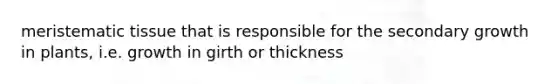 meristematic tissue that is responsible for the secondary growth in plants, i.e. growth in girth or thickness