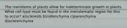 The meristems of plants allow for indeterminate growth in plants. What cell type must be found in the meristematic region for this to occur? a)sclereids b)collenchyma c)parenchyma d)sclerenchyma